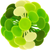 Green Apple