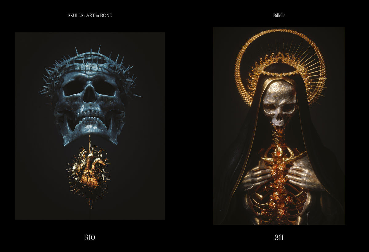 Skulls: Art In Bone: A Contemporary Anthology of Skull-Inspired Art