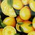 Lemons