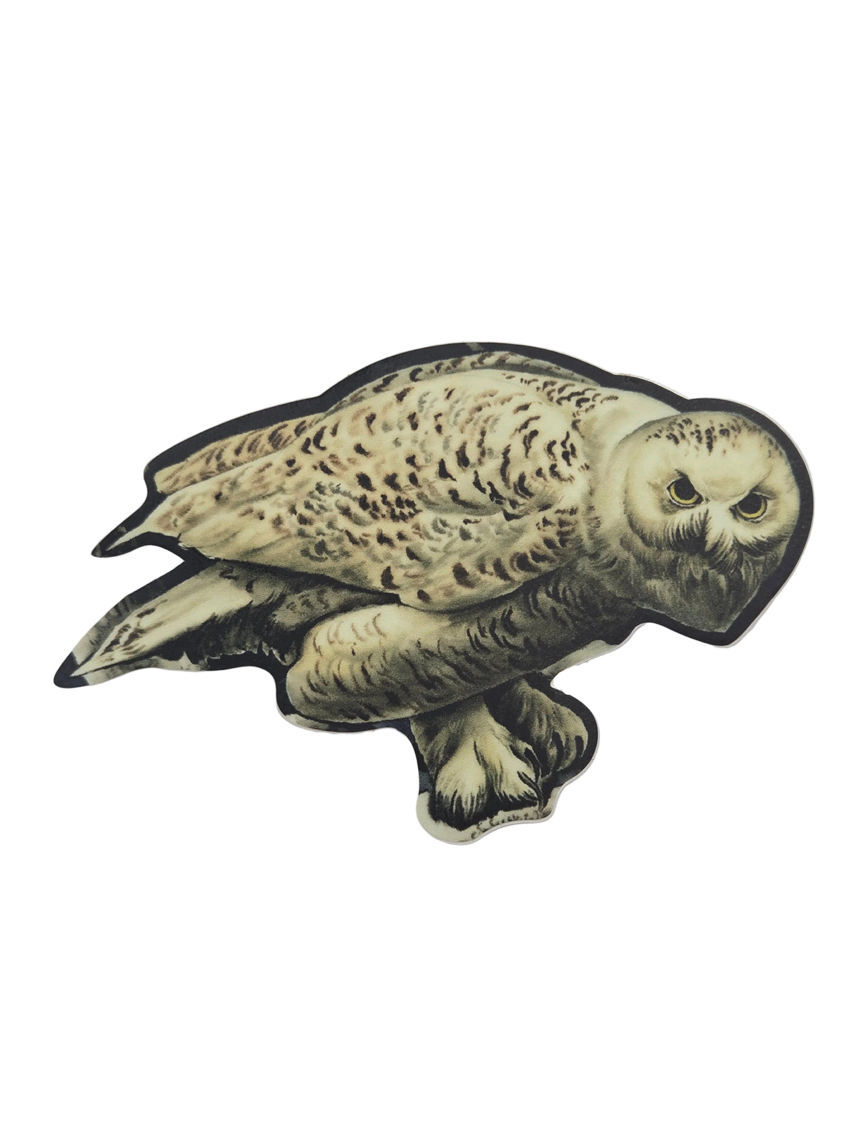 Vance Kirkland, Snowy Owl Sticker