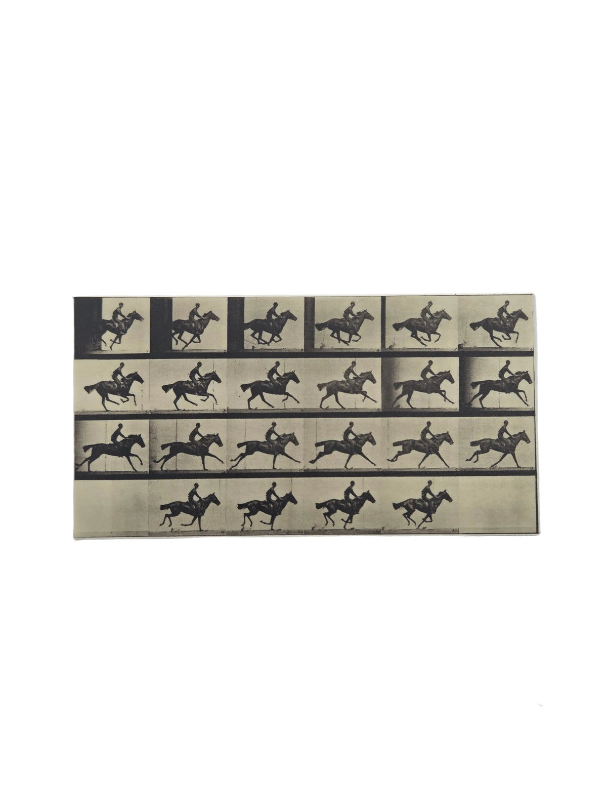 Eadweard Muybridge, Horse Galloping Sticker