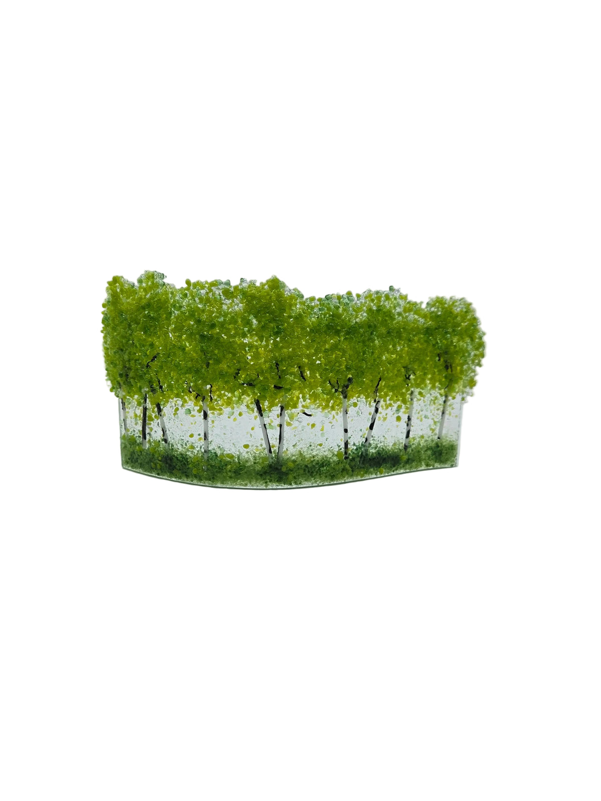 Green Aspen Free Standing Wave
