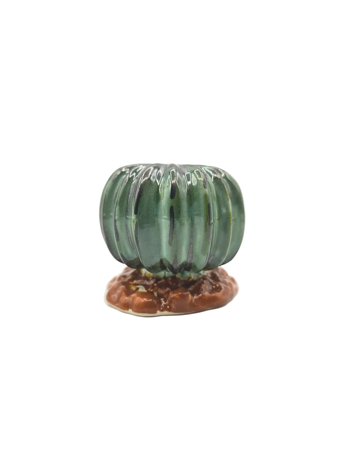Round Decorative Ceramic Cactus