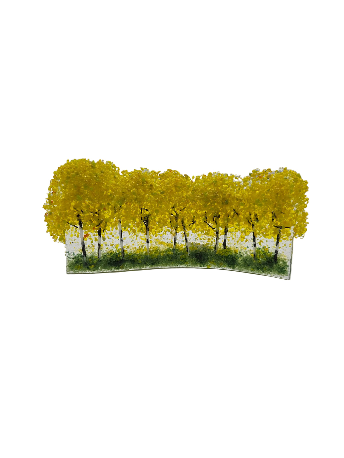 Yellow Aspen Free Standing Curve
