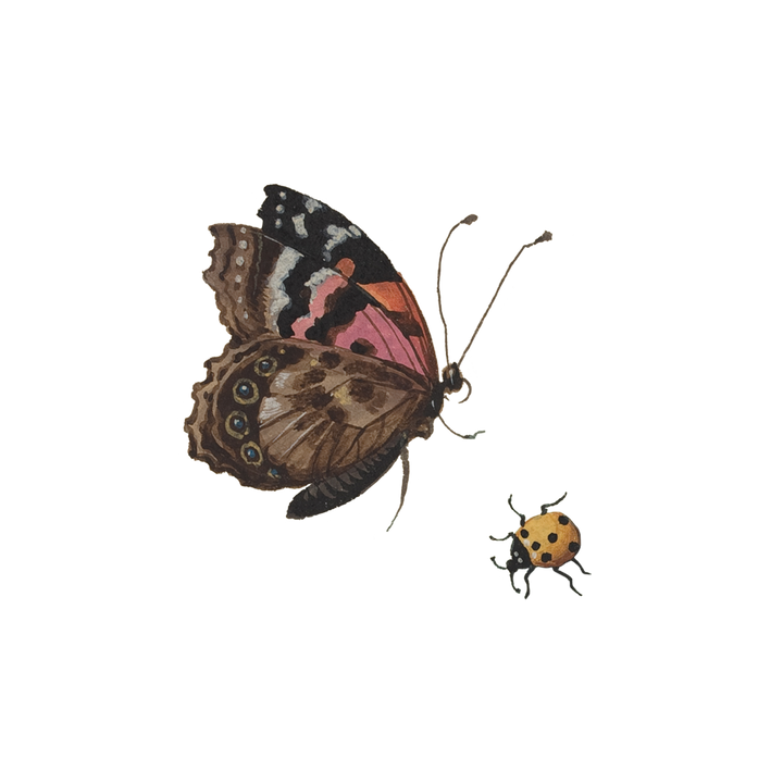 Beetle &amp; Butterfly Tattoo Pair