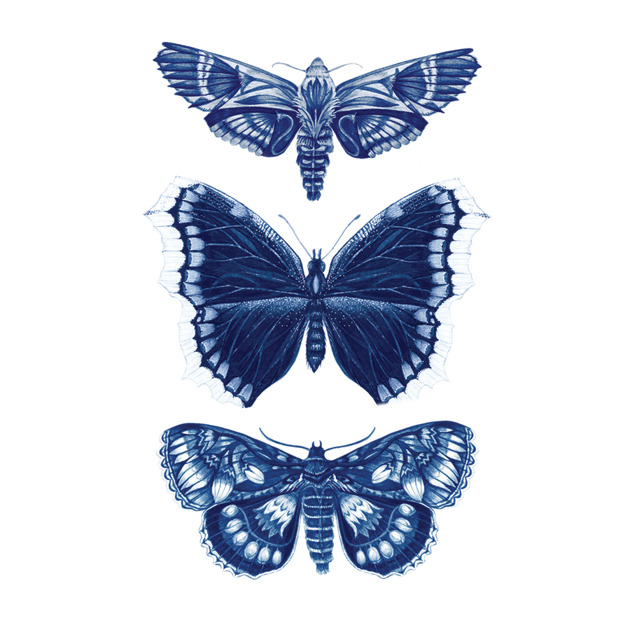 Sapphire Moths Tattoo Pair