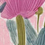 Tulip Blooms