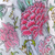 William Morris - Cray